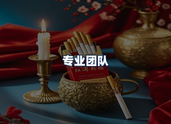 专业团队